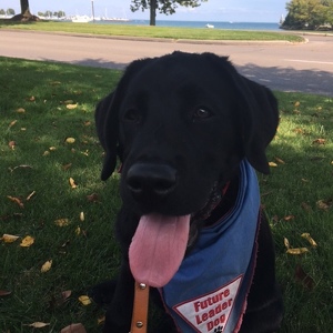 Fundraising Page: Susan Hammel